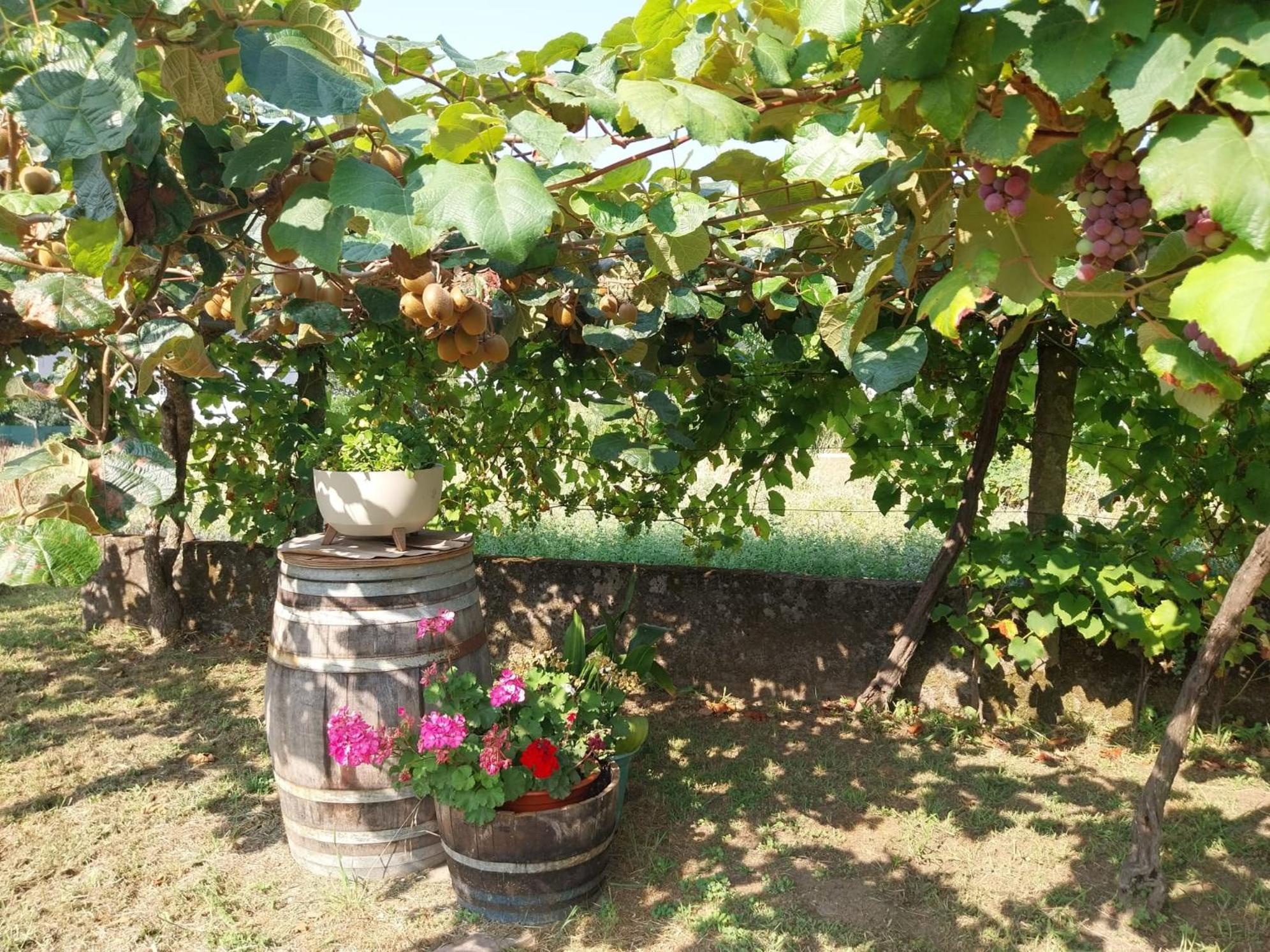 O Berce Padron Casa Rural Экстерьер фото